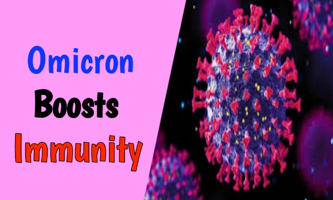 Omicron Boosts Immunity
